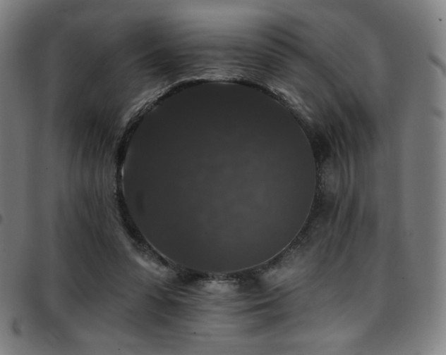 X0000097790303200803071418
