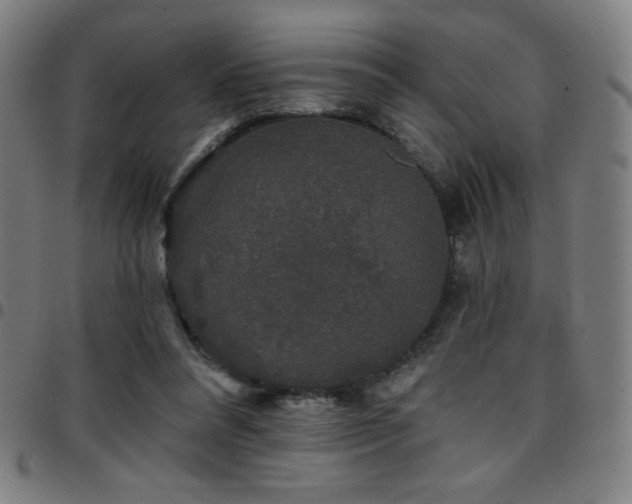 X0000097790304200803071418