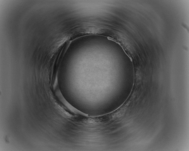X0000097790305200803071418