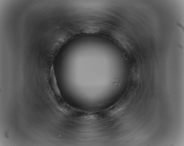 X0000097790307200803071418