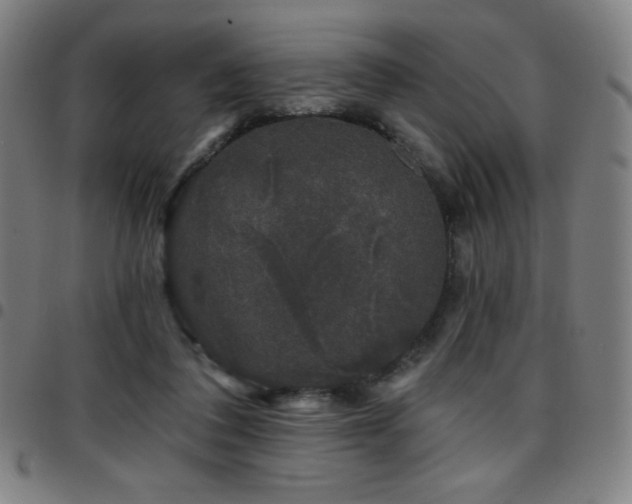 X0000097790308200803071418