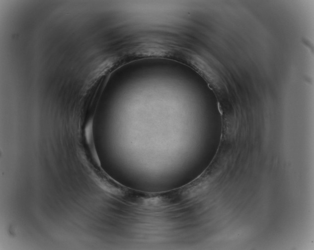 X0000097790309200803071418