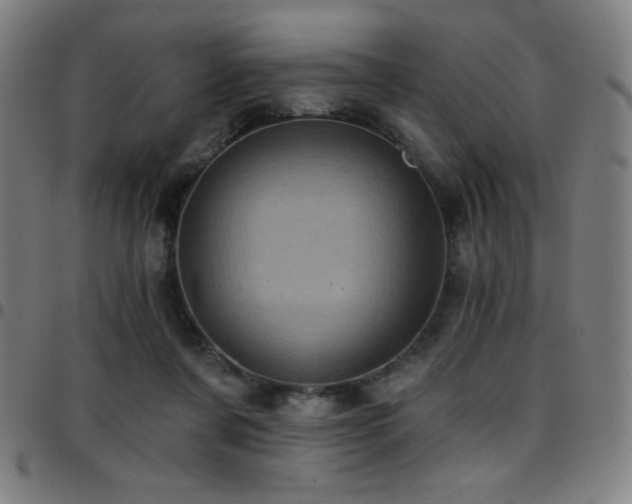 X0000097790311200803071418