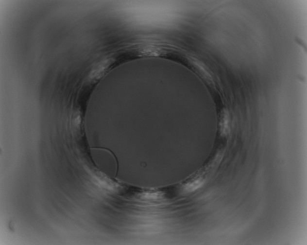 X0000097790314200803071418