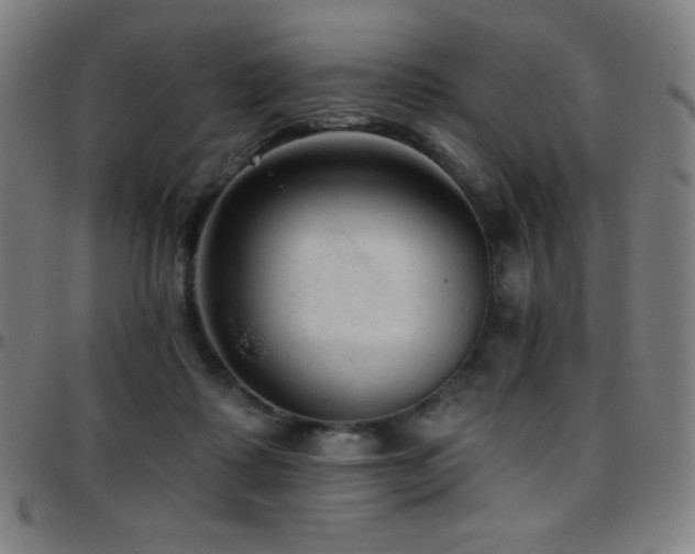 X0000097790315200803071418