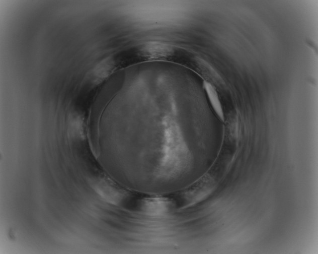 X0000097790316200803071418