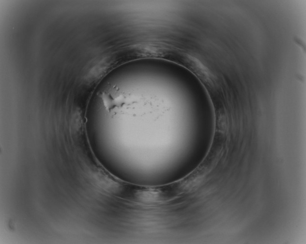 X0000097790318200803071418