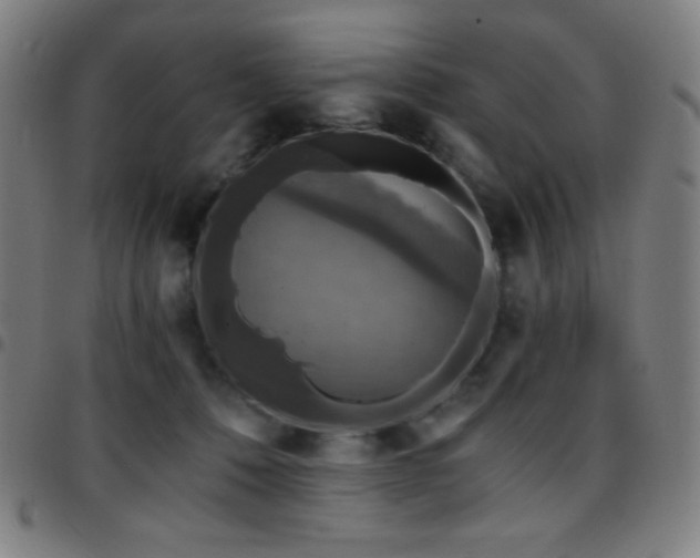 X0000097790320200803071418