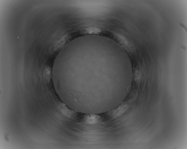 X0000097790321200803071418