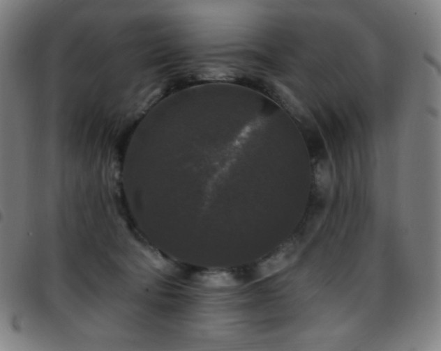 X0000097790322200803071418