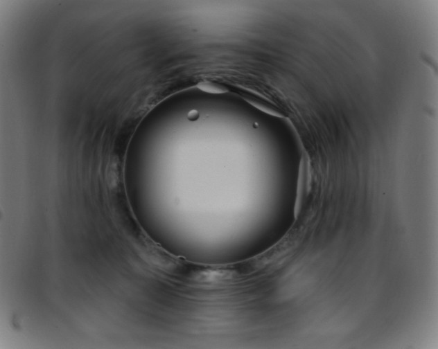 X0000097790323200803071418