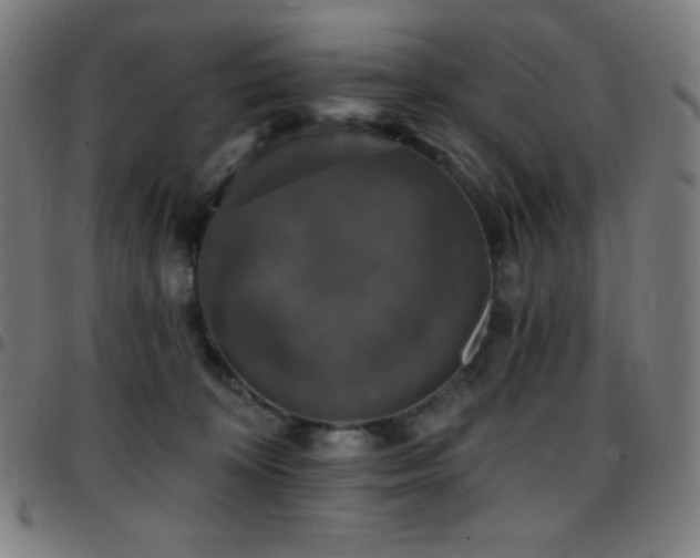 X0000097790324200803071418