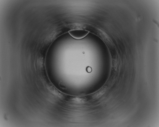 X0000097790326200803071418