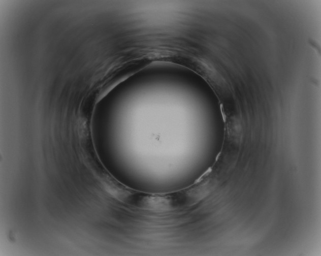 X0000097790327200803071418