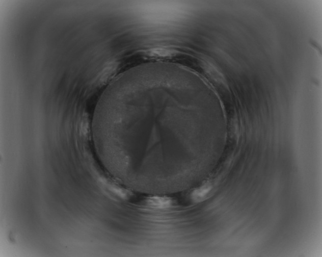 X0000097790328200803071418
