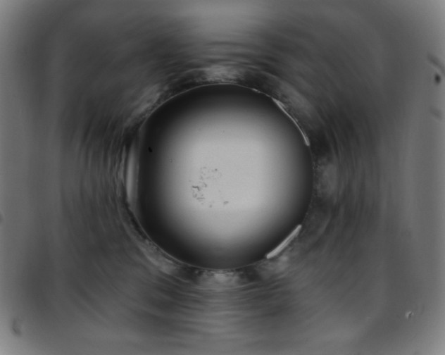 X0000097790329200803071418