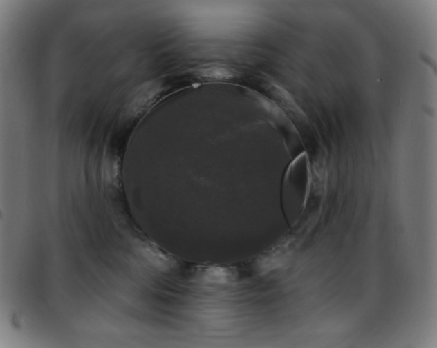 X0000097790330200803071418