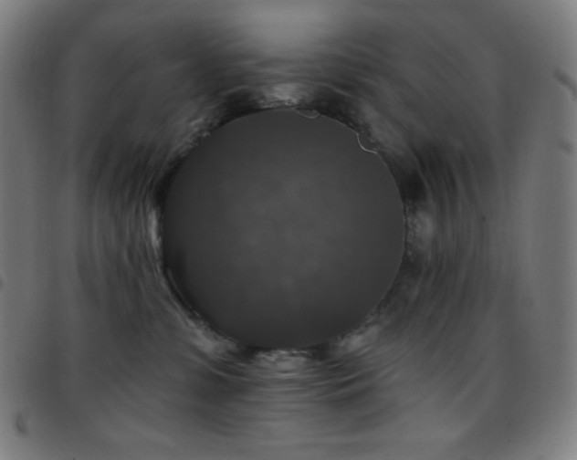X0000097790331200803071418