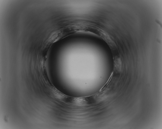 X0000097790333200803071417