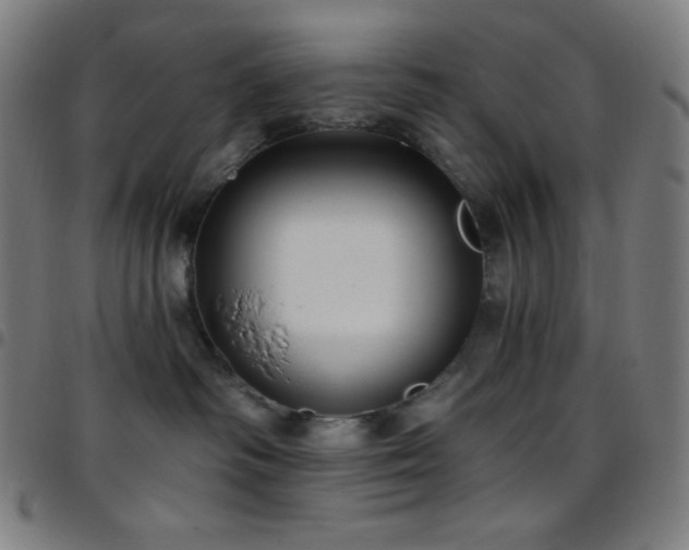 X0000097790334200803071417
