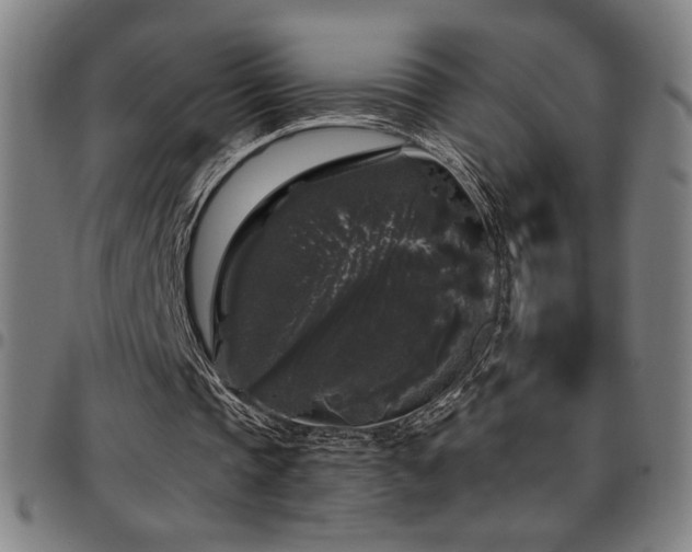 X0000097790337200803071417