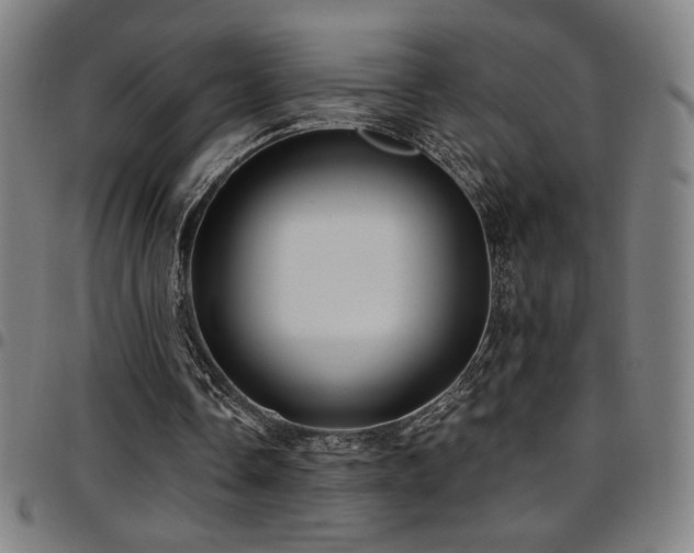 X0000097790338200803071417