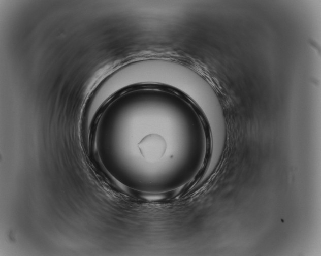 X0000097790340200803071417