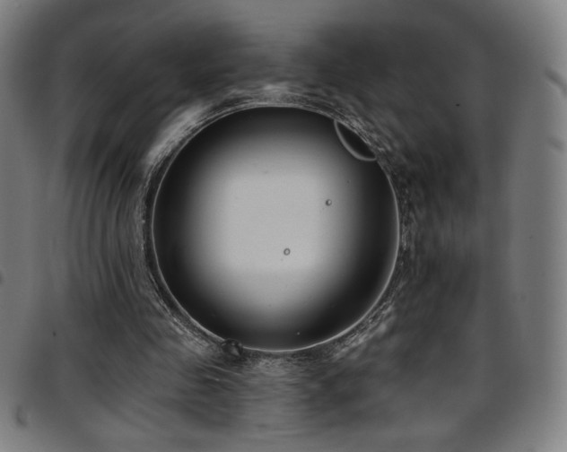 X0000097790341200803071417