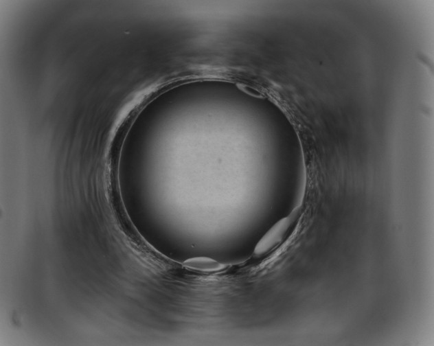 X0000097790342200803071417