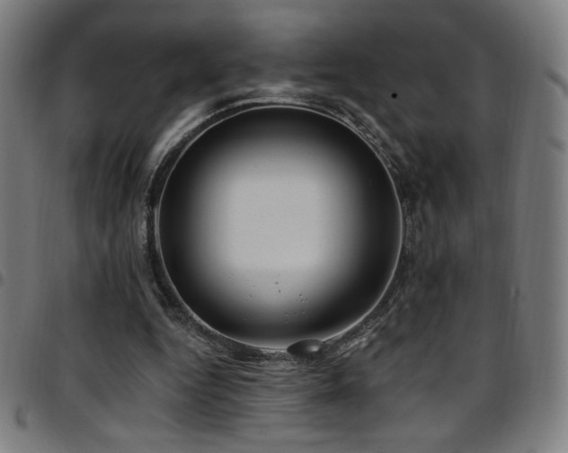 X0000097790344200803071417