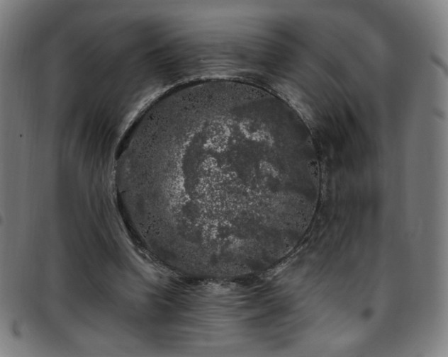 X0000097790346200803071417