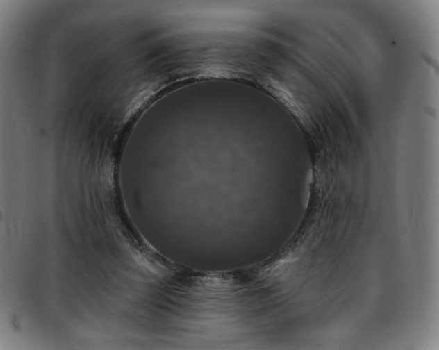 X0000097790347200803071417