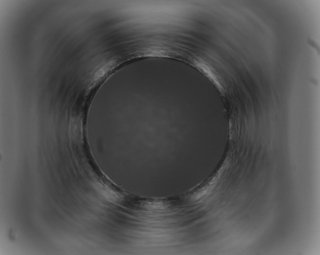 X0000097790349200803071417