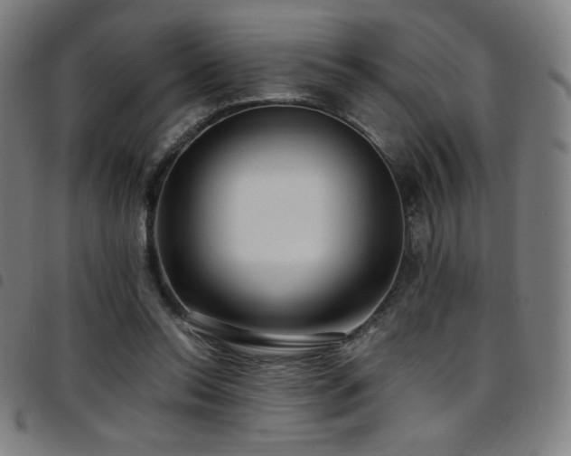 X0000097790350200803071417