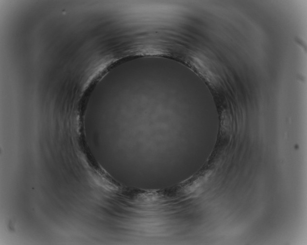 X0000097790351200803071417
