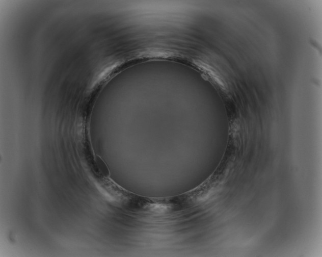 X0000097790352200803071417
