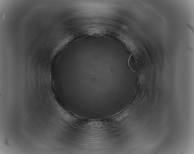 X0000097790353200803071417