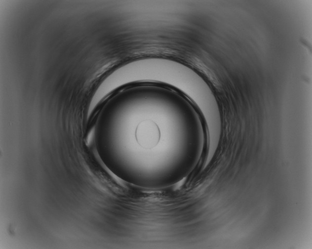 X0000097790356200803071417