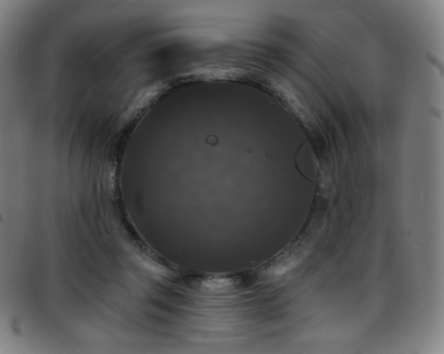 X0000097790357200803071417
