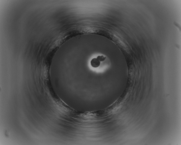 X0000097790359200803071417