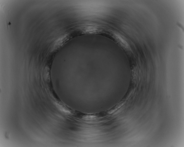 X0000097790361200803071417