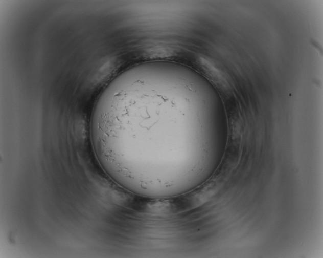 X0000097790362200803071417