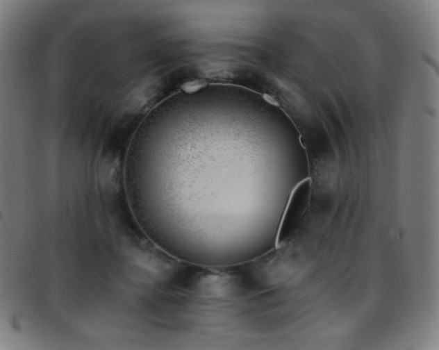 X0000097790364200803071417