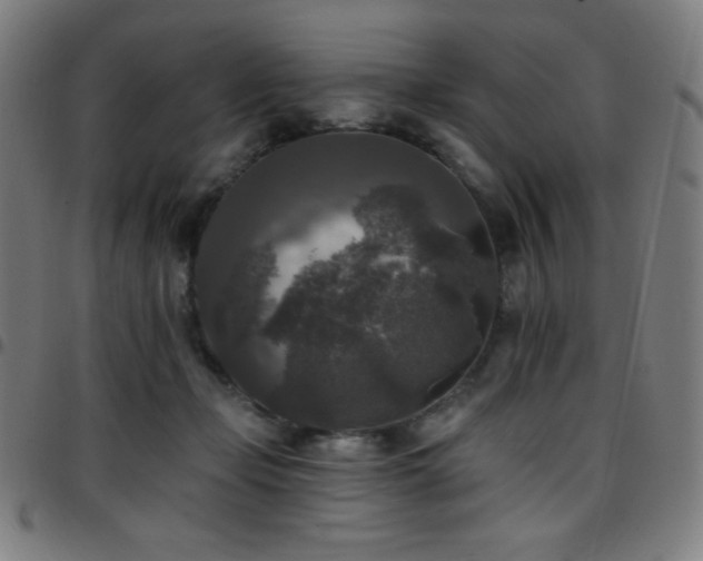 X0000097790365200803071417