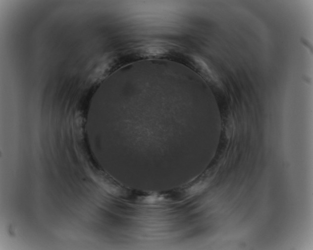 X0000097790366200803071417