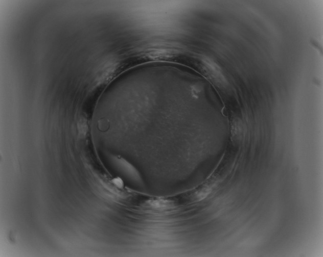 X0000097790367200803071417