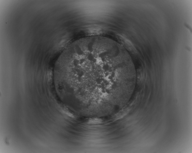 X0000097790369200803071417