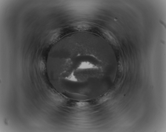 X0000097790371200803071417