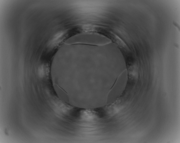 X0000097790372200803071417