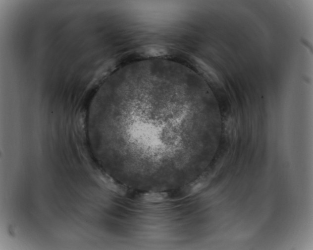 X0000097790373200803071417